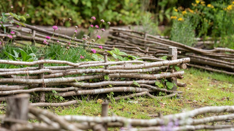The Tudor garden in August at Tŷ Mawr Wybrnant